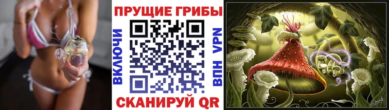 блэк спрут зеркало  хочу наркоту  Бронницы  Галлюциногенные грибы GOLDEN TEACHER 